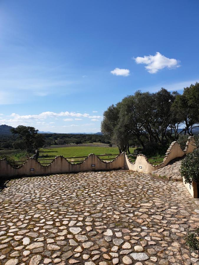 Cantina Perandria Monti Exteriér fotografie