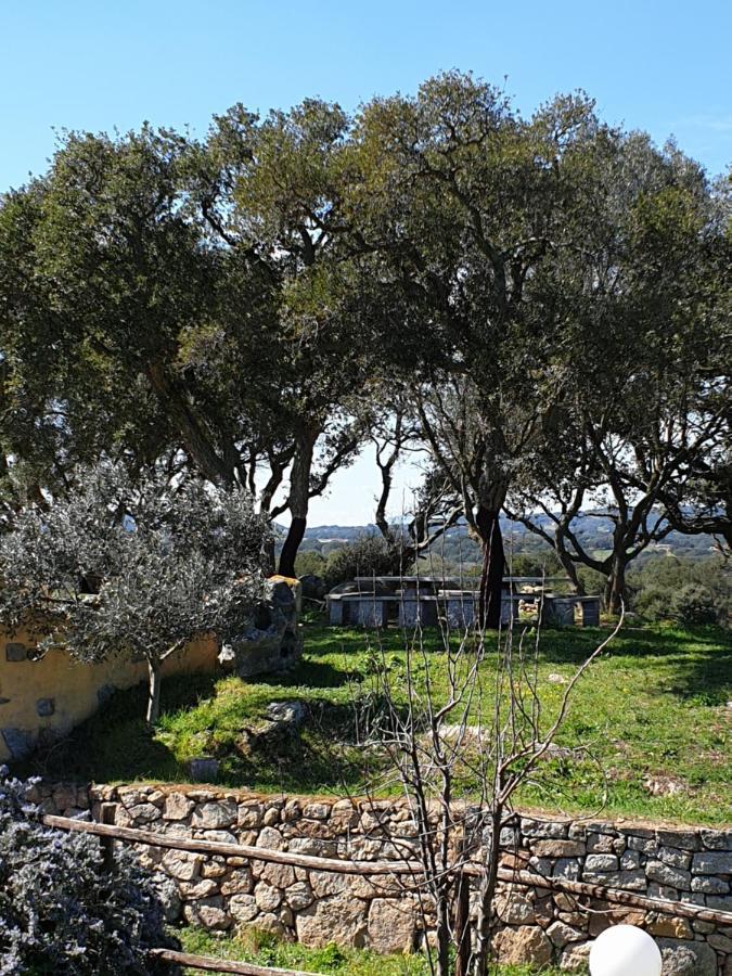 Cantina Perandria Monti Exteriér fotografie